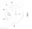 Fig. 02 - Exercise biased weight