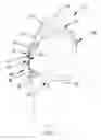 Fig. 04 - Adjustable training apparatus