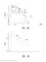 Fig. 30 - Exercise apparatuses and methods of using the same