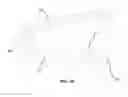 Fig. 11 - GOLF CLUB WITH CELLULAR MASS DISTRIBUTION