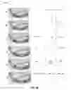Fig. 22 - GOLF CLUB WITH CELLULAR MASS DISTRIBUTION