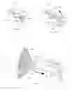 Fig. 16 - Training devices, methods and systems