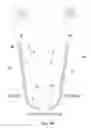 Fig. 09 - Multipurpose putting practice device for enabling straight putting and distance practice by situation