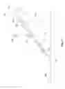 Fig. 21 - Multipurpose putting practice device for enabling straight putting and distance practice by situation