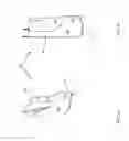 Fig. 05 - EXERCISE GLOVE