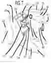 Fig. 08 - Golf gloves