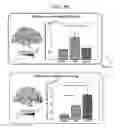 Fig. 06 - METHOD AND APPARATUS FOR PROVIDING PREFRONTAL ACTIVITY GAME