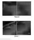 Fig. 06 - ANTIBIOFOULING MEMBRANES AND METHODS FOR PRODUCTION