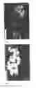 Fig. 06 - CO CURRENT MIXER, APPARATUS, REACTOR AND METHOD FOR PRECIPITATING NANOPARTICLES