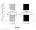 Fig. 08 - Nanostructured solar selective catalytic supports