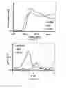 Fig. 03 - Selective alkane activation with single-site atoms on amorphous support
