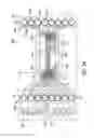 Fig. 09 - Fluid interface cartridge for a microfluidic chip