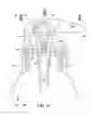 Fig. 11 - Device for dispensing fluids