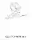 Fig. 04 - Continuous vertical spraying of bodies such as cans