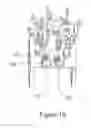 Fig. 15 - Continuous vertical spraying of bodies such as cans