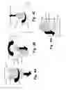 Fig. 08 - Paint can adapter for handheld spray device