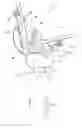 Fig. 01 - Powered bending tool