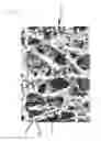 Fig. 02 - Porous sintered body and method of making the same