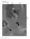 Fig. 22 - Porous sintered body and method of making the same