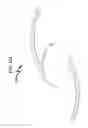 Fig. 127 - Intraocular lens (IOL) fabrication system and method