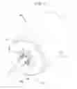 Fig. 02 - Passive buffer brush air cooling