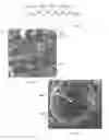 Fig. 09 - Chemical mechanical planarization pad conditioner