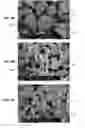 Fig. 04 - Boron nitride composites