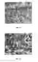 Fig. 09 - Polymer impregnated backing material, abrasive articles incorporating same, and processes of making and using