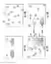 Fig. 23 - Apparatus and methods for remotely controlling robotic devices