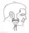 Fig. 02 - Shaving system