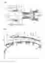 Fig. 02 - Composite casing for axial turbomachine low-pressure compressor