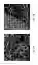 Fig. 09 - Composite material and method of preparing the same from substantially unsorted waste