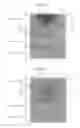 Fig. 09 - Three-dimensional printing apparatus, three-dimensional object forming method, and three-dimensional object