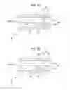 Fig. 09 - Flow path member, liquid ejecting head, liquid ejecting apparatus and liquid stirring method