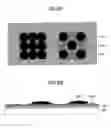 Fig. 06 - Image formation apparatus, method for examining discharge of transparent droplets, and program for examining discharge of transparent droplets