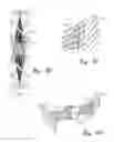 Fig. 17 - Collapsible wheels and methods of making collapsible wheels