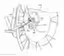Fig. 01 - USER INTERFACE FOR A MOTORIZED WHEEL