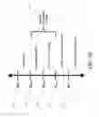 Fig. 11 - Active vehicle suspension