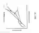 Fig. 49 - Active vehicle suspension