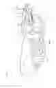 Fig. 02 - Disengaging handle assembly for a bottom outlet valve