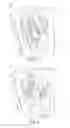 Fig. 04 - Position lock for steering column