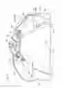Fig. 04 - Heat-shielding structure for periphery of ignition switch