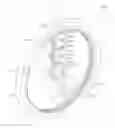 Fig. 01 - Gear reduction drive