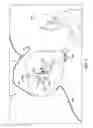 Fig. 04 - Stowage bin with closing force assistance