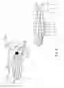 Fig. 08 - System for sorting and dispensing oral medications
