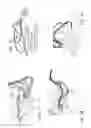 Fig. 10 - System for sorting and dispensing oral medications
