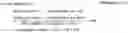 Fig. 11 - Laminated material for paper containers and paper containers using it