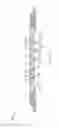 Fig. 09 - Collapsible bottle with flow channels
