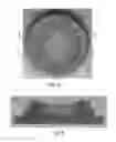 Fig. 06 - Lid for container