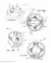 Fig. 13 - Lid for container